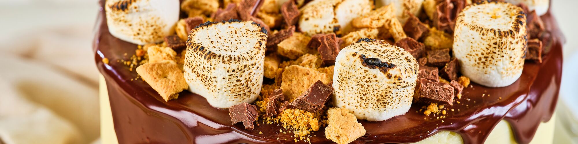 slice of s'mores cake baked with domino light brown sugar