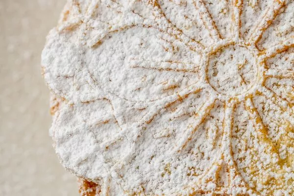 pizzelles cookies sprinkled with domino powdered sugar