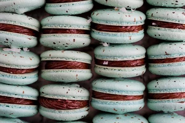 ROBIN’S EGG MACARONS